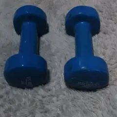 ダンベル ウエイトトレーニング