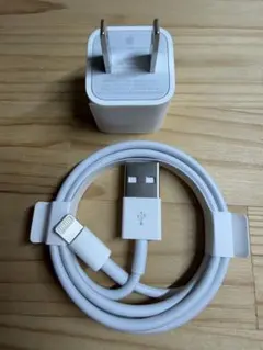 Apple純正品 iPhone Lightning充電器ケーブルセット