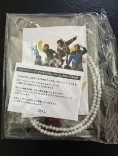 【新品未開封】パルクロすっきゃねんず　ストラップ付マルチケース