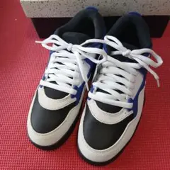 Item thumbnail for item f62b92f6-7236-4fe0-98b0-cea5d22dc1b3