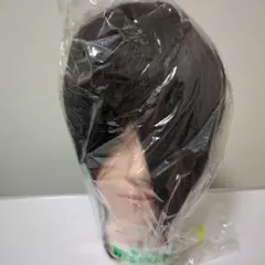 国家試験練習用カットウィッグ　(新品・未開封)