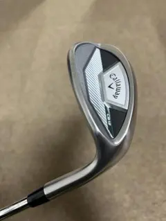 Item thumbnail for item ef468c00-0be3-4abc-9a17-66c401c29276