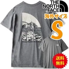 ノースフェイス Tシャツ グレー 海外限定 新品 海外S 日本M相当 ng