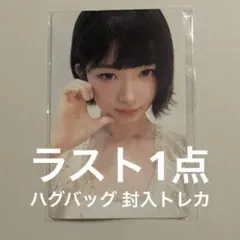 IVE アイヴ レイ ナオリ ハグバッグ エバーランド MD ぬいぐるみ