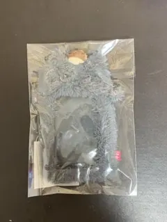 NCTWISH wishdoll Color リク フォトカードホルダー