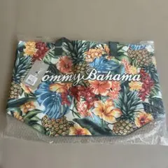 Item thumbnail for item 6ed55032-c0e6-4f87-aaa5-86d40273ca5a