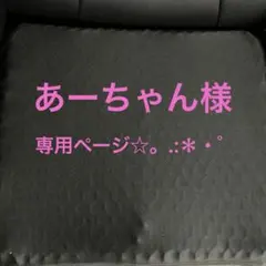 あーちゃん様専用ページ☆。.:＊・゜