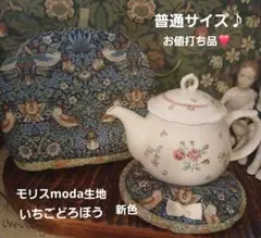 お値打ち品❣️リバーシブル♡いちごどろぼう×ヒヤシンス普通サイズ♪