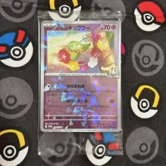 d*n様 リーリエのキュワワー：コレクションファイルセット PROMO SV-P