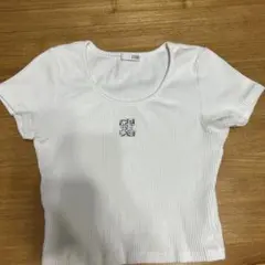 Item thumbnail for item 0a20bca0-ca7b-47bd-83d2-4f6ccf2c0fc9