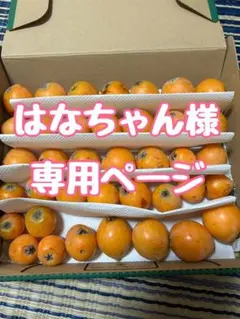 はなちゃん様専用ページ　愛知県産びわ