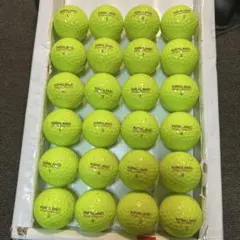 1/136)黄色カークランドロストボール2ダースの出品になります。