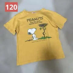 ファミリア120 半袖シャツ