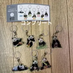 新発売 アドベンチャーワールド マルチチャーム 良浜 彩浜 結浜 楓浜