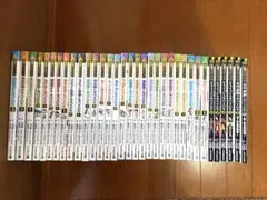 レンタル落ちDVD ゲームセンターCX 30巻セット 有野課長 - メルカリ