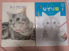 Item thumbnail for item de27f20b-74a4-4462-9d8f-e9191aaf29c7