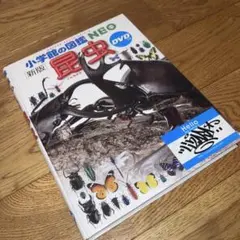 ほぼ新品★送料無料 DVD付き 小学館の図鑑NEO 新版 昆虫