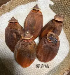 干し柿　(愛宕柿、柔らか) ２Lサイズ １６個入り