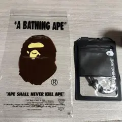 Item thumbnail for item f368a67d-a99e-44f1-a274-08b33bcbc9ca