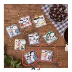 PEANUTS SNOOPYパッケージチャーム スヌーピー 5点