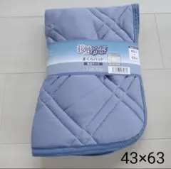 接触冷感 吸水速乾 通気性 枕パッド ピローパット 43×63cm ライトブルー