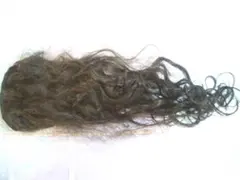 Item thumbnail for item 9ea6f0ff-ce9c-4b76-a5b8-68c235ca04e1