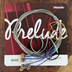 Item thumbnail for item 676d67c7-b922-4149-bb54-45dfdad1c069