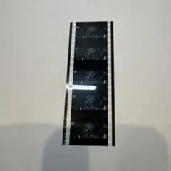 映画 まどマギ まどかマギカ ワルプルギスの廻天 入場者特典 フィルム