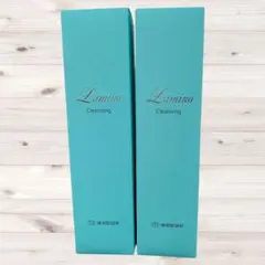 Item thumbnail for item 405422ac-8b8d-4806-b529-2929db934cc0