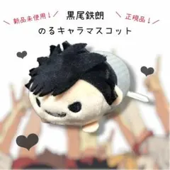 2026年最新】ハイキュー のるキャラマスコット 10thの人気アイテム