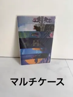 ★新品未使用★ ディズニー　プリンセス展　マルチケース