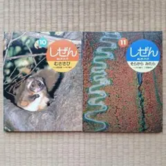 しぜん キンダーブック 8月号 うみ - メルカリ