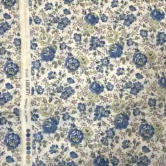 Item thumbnail for item 2161fa0a-6e67-4fca-bd90-51914fd4974c