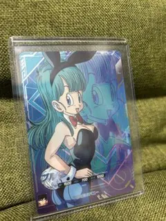 ブルマ ダイバーズ