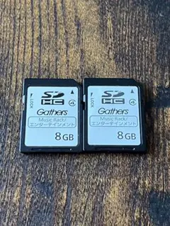 Gathers カーナビ用SDカード 8GB 2枚セット HONDA - メルカリ