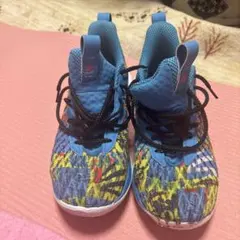 新品 入手困難 カリー10 CURRY10 ノーザンライツ - メルカリ