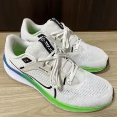 【美品】NIKE エアズーム ペガサス 40 DV3853-006 白30cm