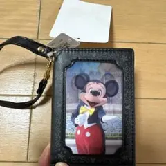 ディズニーリゾート　旧フェイスミッキー　パスケース　未使用　レア
