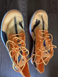 Item thumbnail for item f6ef8b2f-5603-4dd8-89b5-80affee5e02d