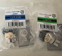 ハイキュー ねむらせ隊2 木兎光太郎 赤葦京治