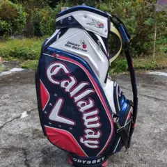 Callaway Great Big Bertha キャディバッグ