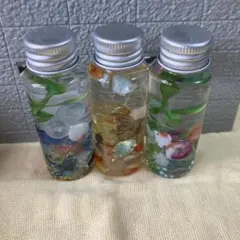 金魚のミニハーバリウム3本セットのサムネイル