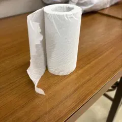 トイレットペーパー シングル ホワイト