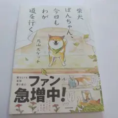 柴犬ぽんちゃん、今日もわが道を行く