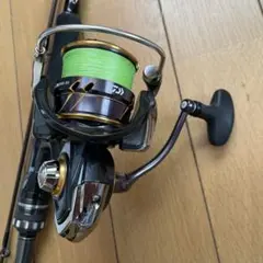 Daiwa カルディア　LT3000-XH美品