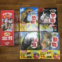 世界文化社　科学ブック 19冊セット 子ども 図鑑 知育 教育本 絶版 世界文化社 科学ブック 19冊セット図鑑 教育絶版 - メルカリ