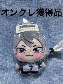 エラー品】ハイキュー!! ちょぴぬいぷち 木葉秋紀 - メルカリ