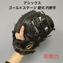 2026年最新】アシックス ゴールドステージ グローブ 軟式の人気