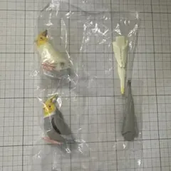 243.カプセルトイ　オカメインコ　2点セット