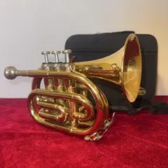 Item thumbnail for item 286850cf-61e6-4821-8632-0c1c9e33c5d6